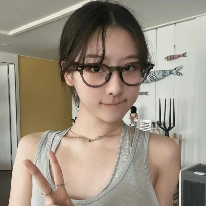 行走的鸡毛掸子 封面